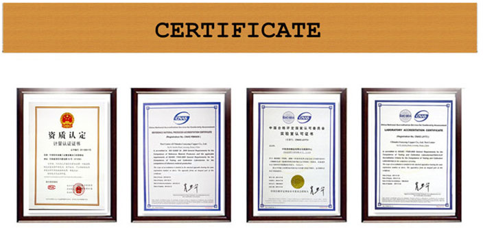 Rivet ເຫຼັກເປັນຮູ certificate